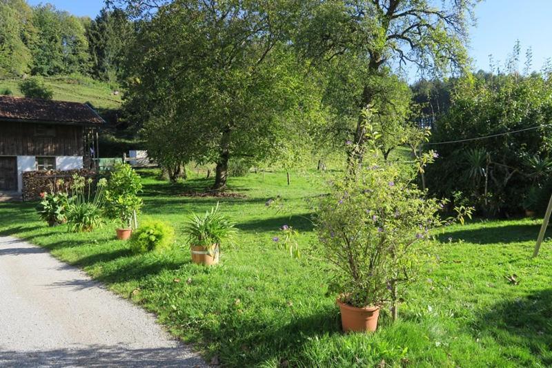 Ferienwohnung Leitner Kiefersfelden Exteriör bild